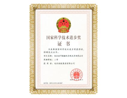 國家科學(xué)進步獎